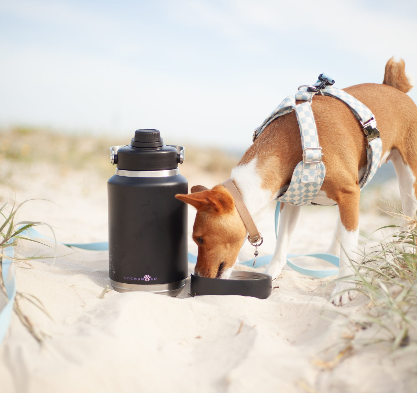 2 in 1 - Winnie Thermal Bottle & Bowl Walkies Kit - LARGE
