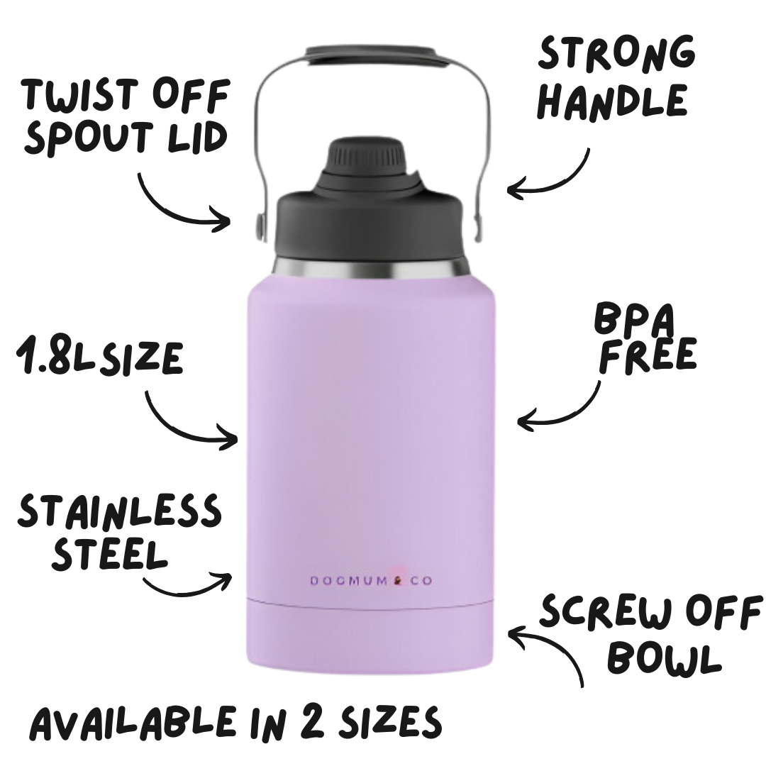 2 in 1 - Winnie Thermal Bottle & Bowl Walkies Kit - LARGE