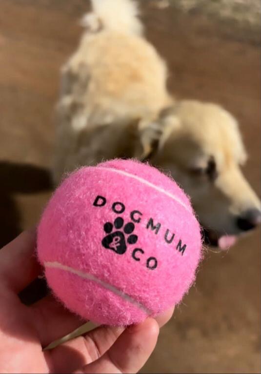Rufus Rubber Tennis Throw Ball