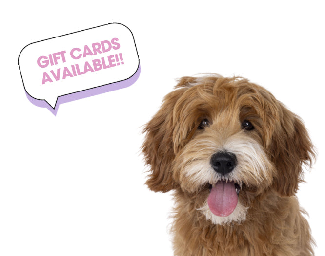 GIFT VOUCHER