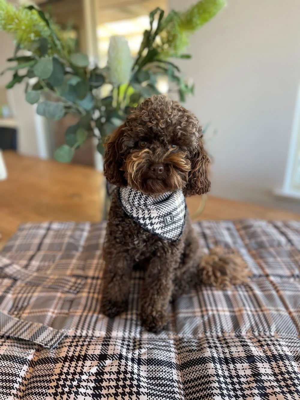 Travel Mat