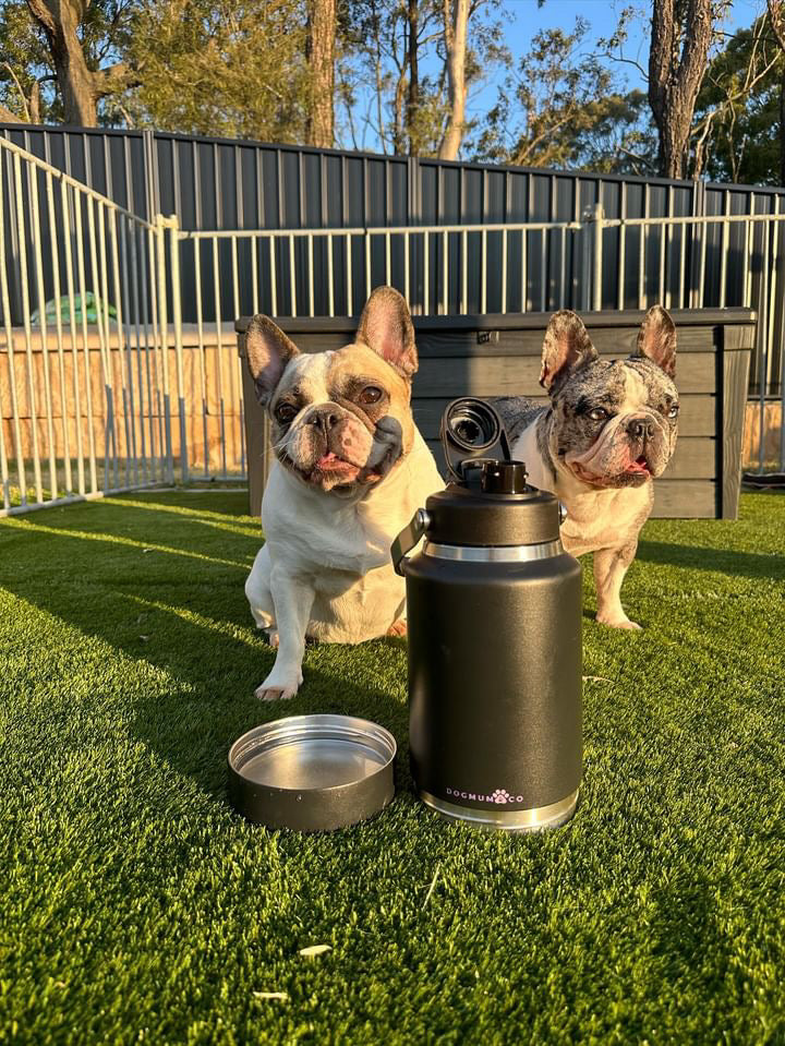 2 in 1 - Winnie Thermal Bottle & Bowl Walkies Kit - LARGE
