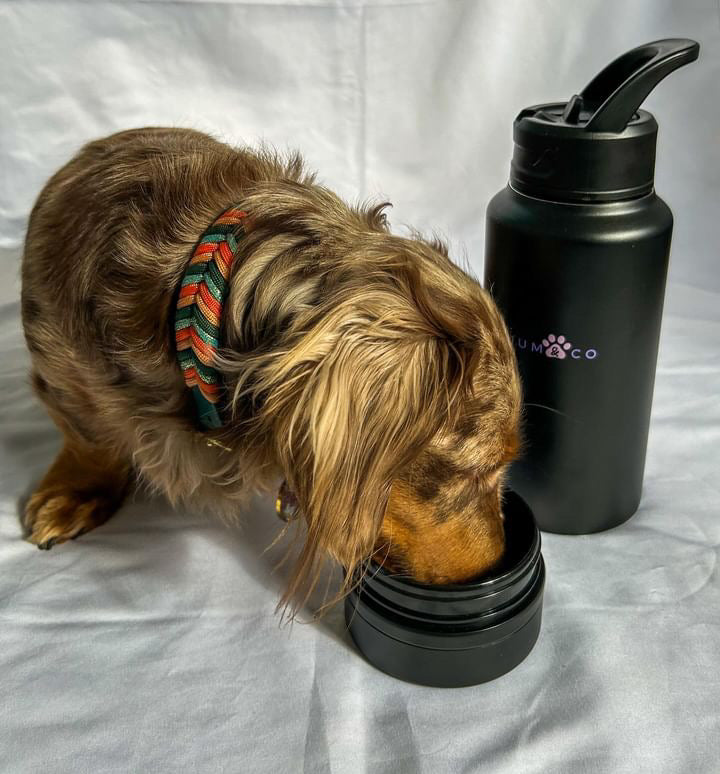 2 in 1 - Coco Thermal Bottle & Bowl Travel Kit - SMALL