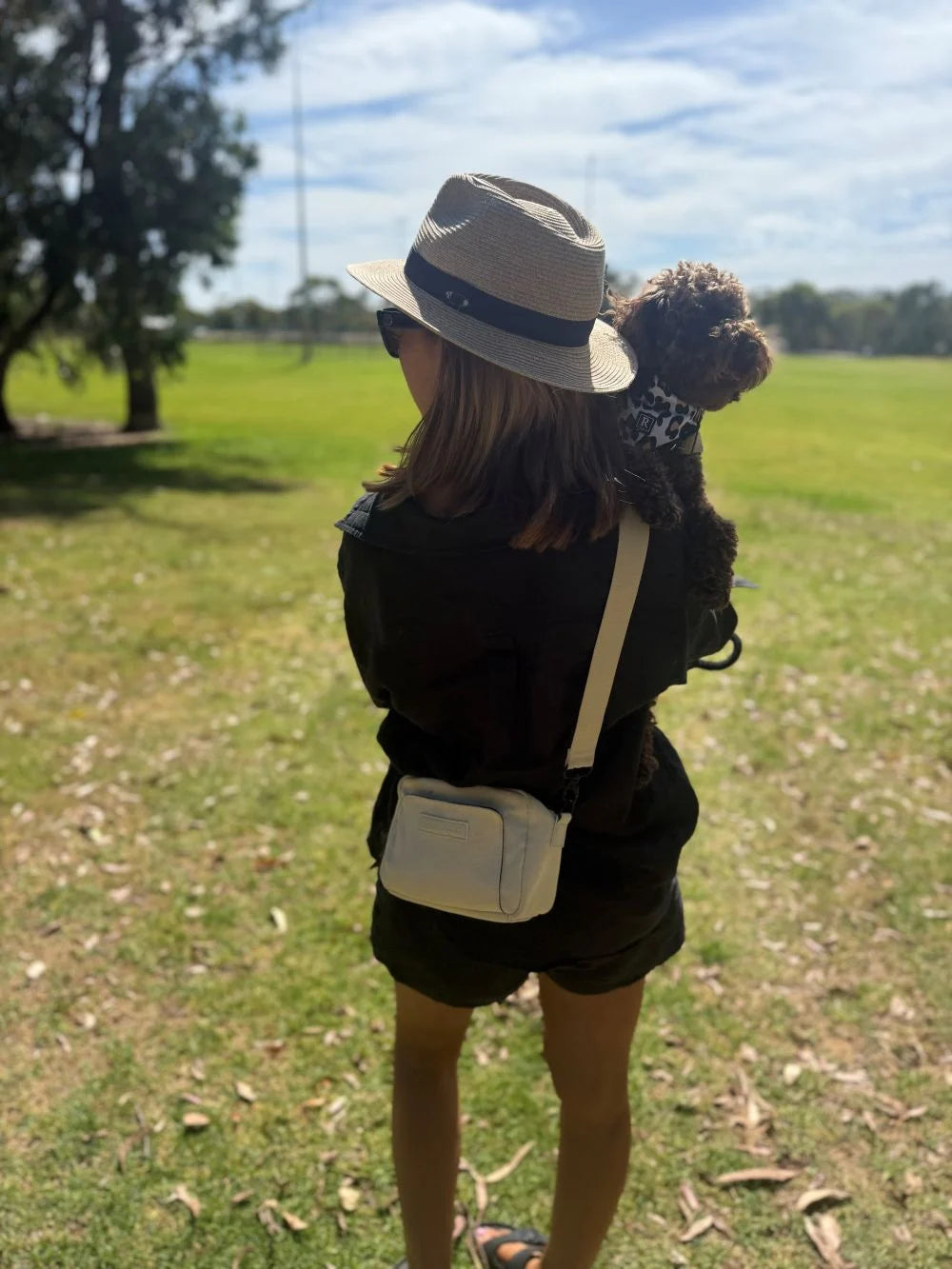 Archie Tote & Mini Cross-Body Walking Bag