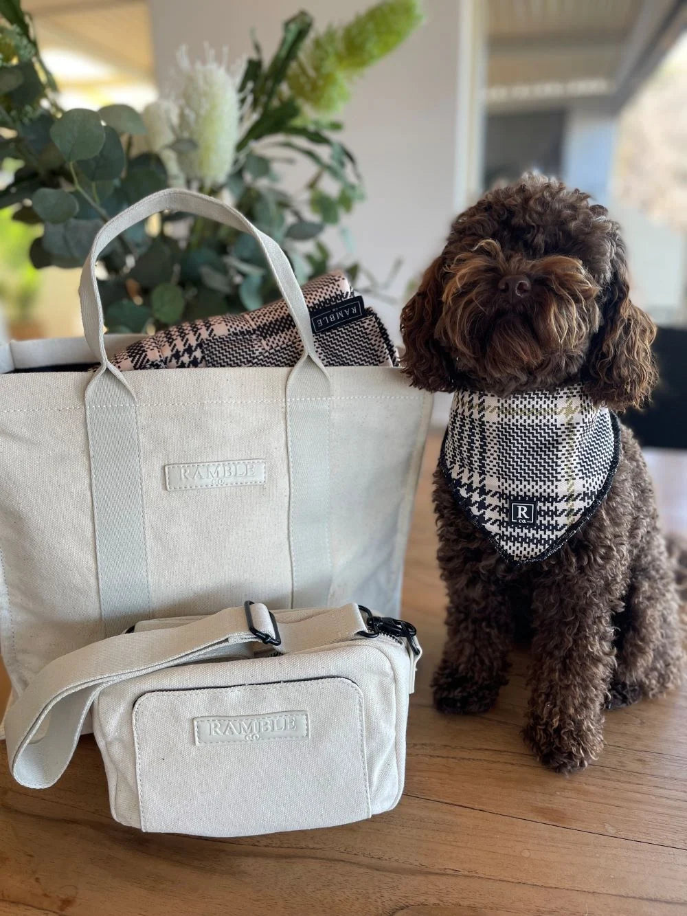 Archie Travel Pack