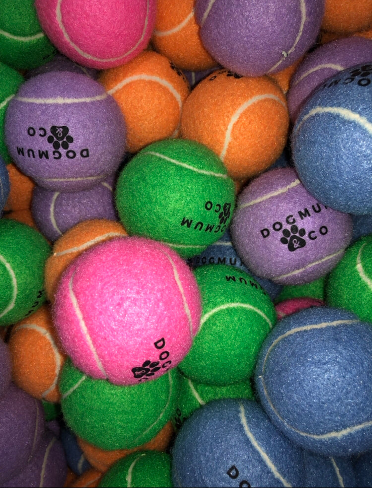 Pawsome Puppy Pack
