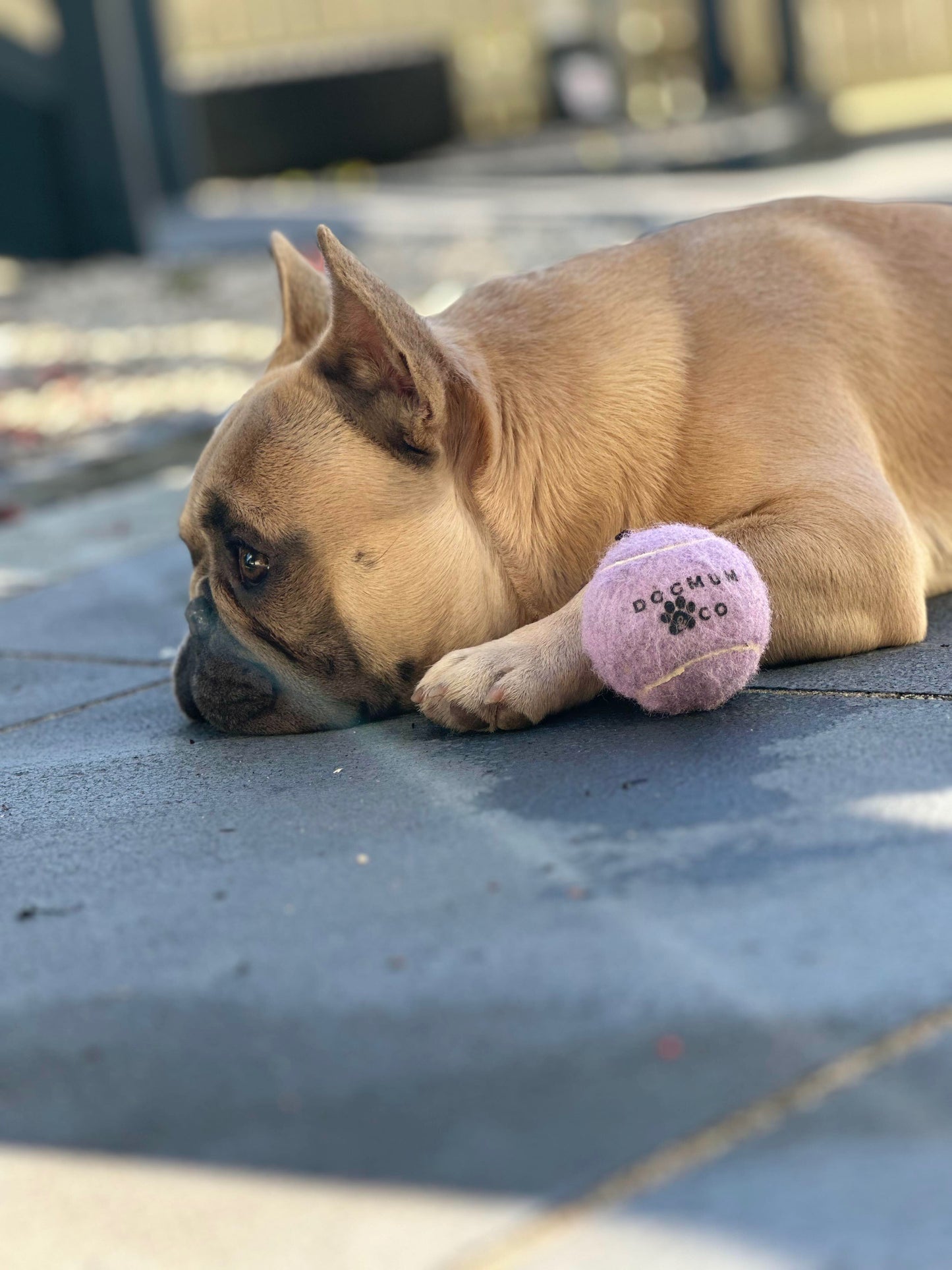 Pawsome Puppy Pack
