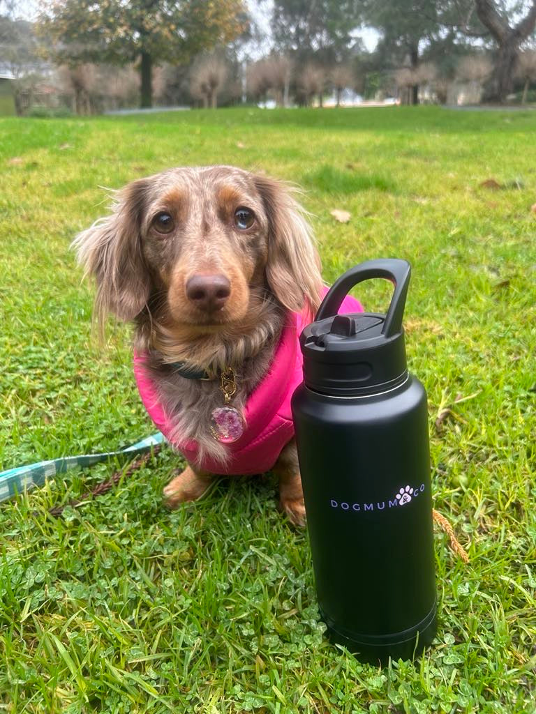 2 in 1 - Coco Thermal Bottle & Bowl Travel Kit - SMALL