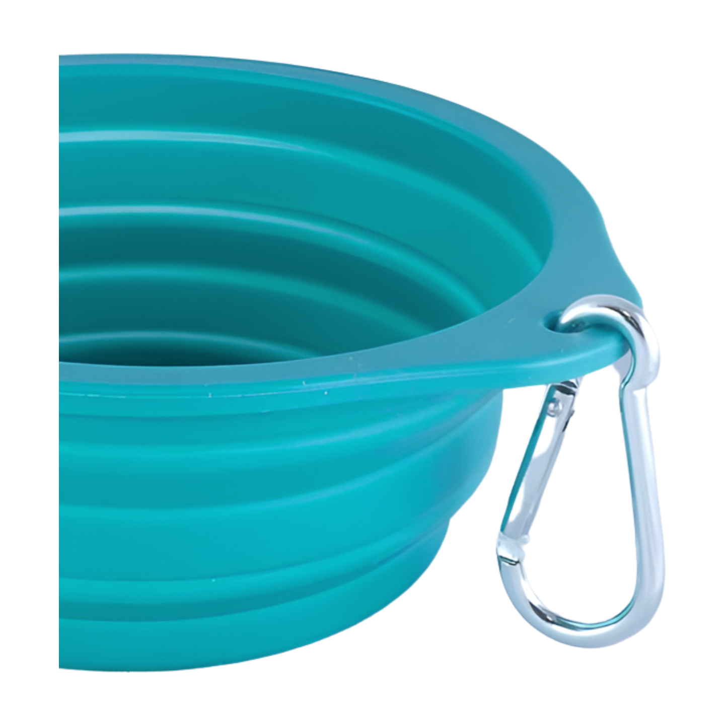 Pawsome Clip On Pop-Up Bowl - FREE GIFT