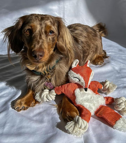 Wagging Buddy Plush Rope Toy