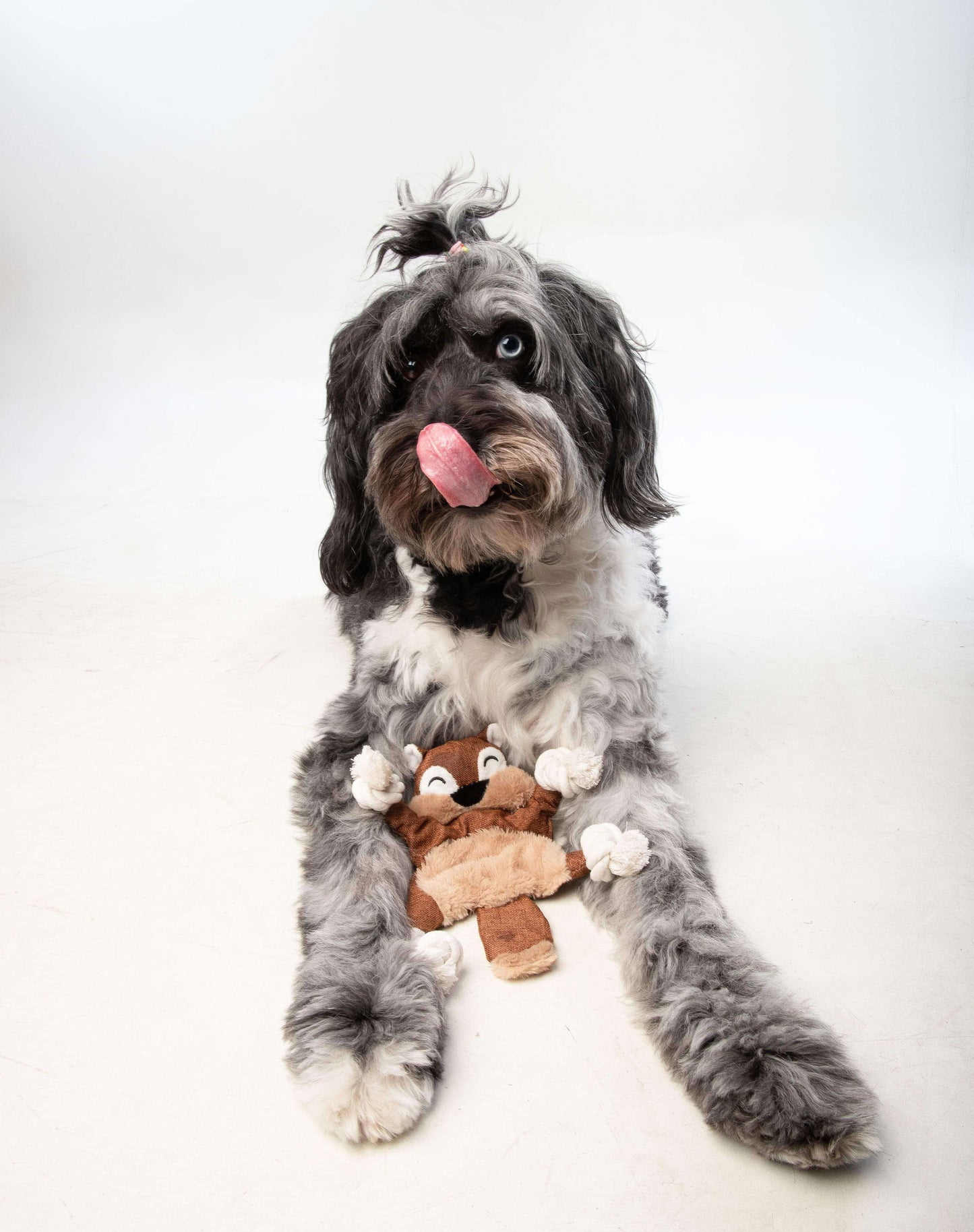 Wagging Buddy Plush Rope Toy