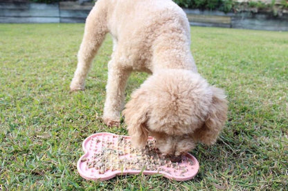 Paws & Lick Playmat